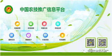 互聯(lián)網(wǎng) 農(nóng)技推廣 服務(wù) 三農(nóng) 全天候